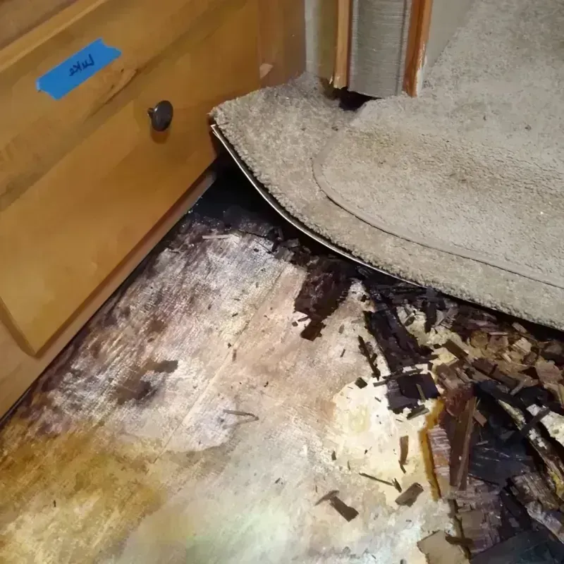 Wood Floor Water Damage in Edgewood, OH